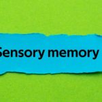 varieties-of-sensory-memory:-what-is-it?
