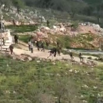 stones-and-trees-damaged-by-settlers-at-a-community-in-the-northern-west-bank