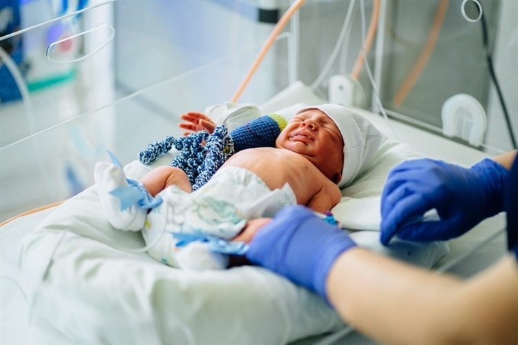 research-investigates-the-connection-between-preterm-newborns’-gut-microbiome-and-their-use-of-only-human-milk