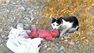 a-cat-found-a-lonely-baby-in-the-railway,-but-what-she-did-was-unexpected