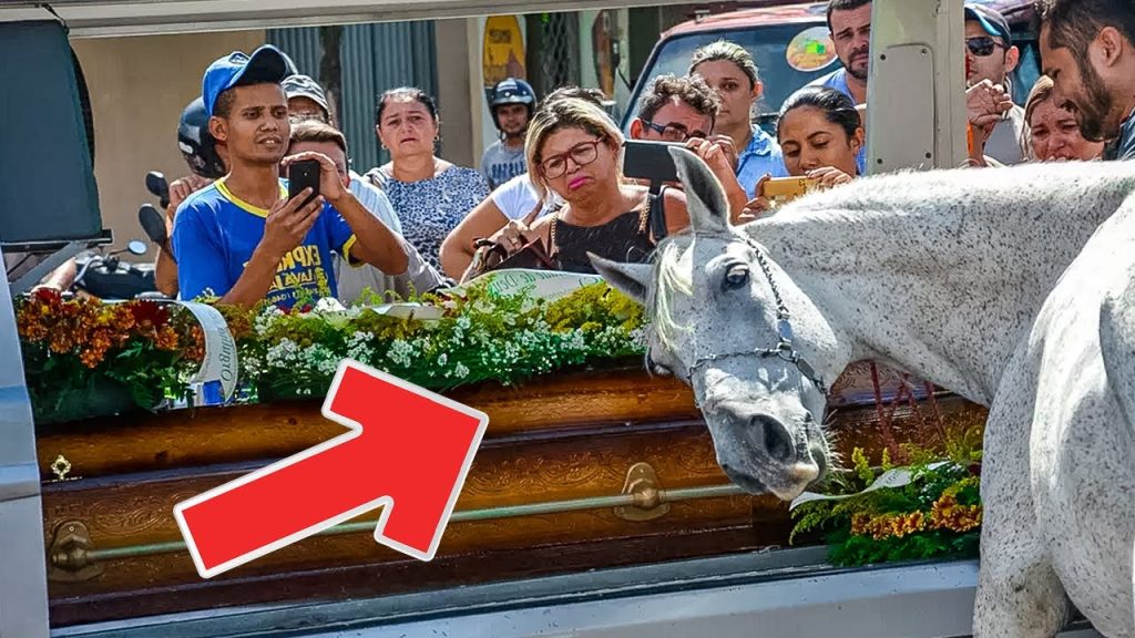 the-horse-came-to-his-owner’s-funeral.-what-happened-next-shocked-everyone!