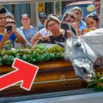 the-horse-came-to-his-owner’s-funeral.-what-happened-next-shocked-everyone!