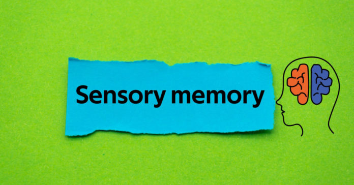 varieties-of-sensory-memory:-what-is-it?
