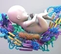 infants-raised-under-covid-19-lockdown’s-changed-gut-microbiome-is-linked-to-allergies,-according-to-a-study